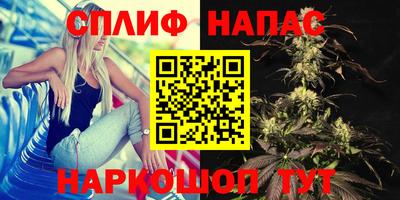 стафф Апшеронск