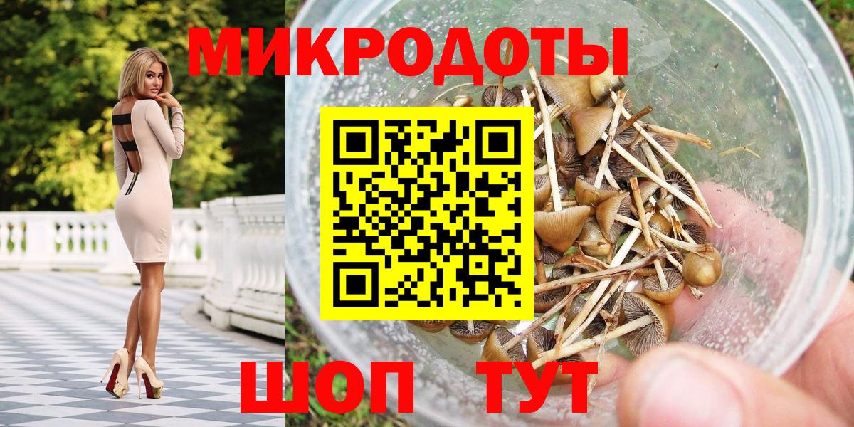 Псилоцибиновые грибы Psilocybine cubensis Асбест